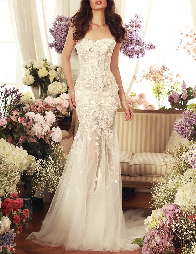 Dany Tabet Isobel